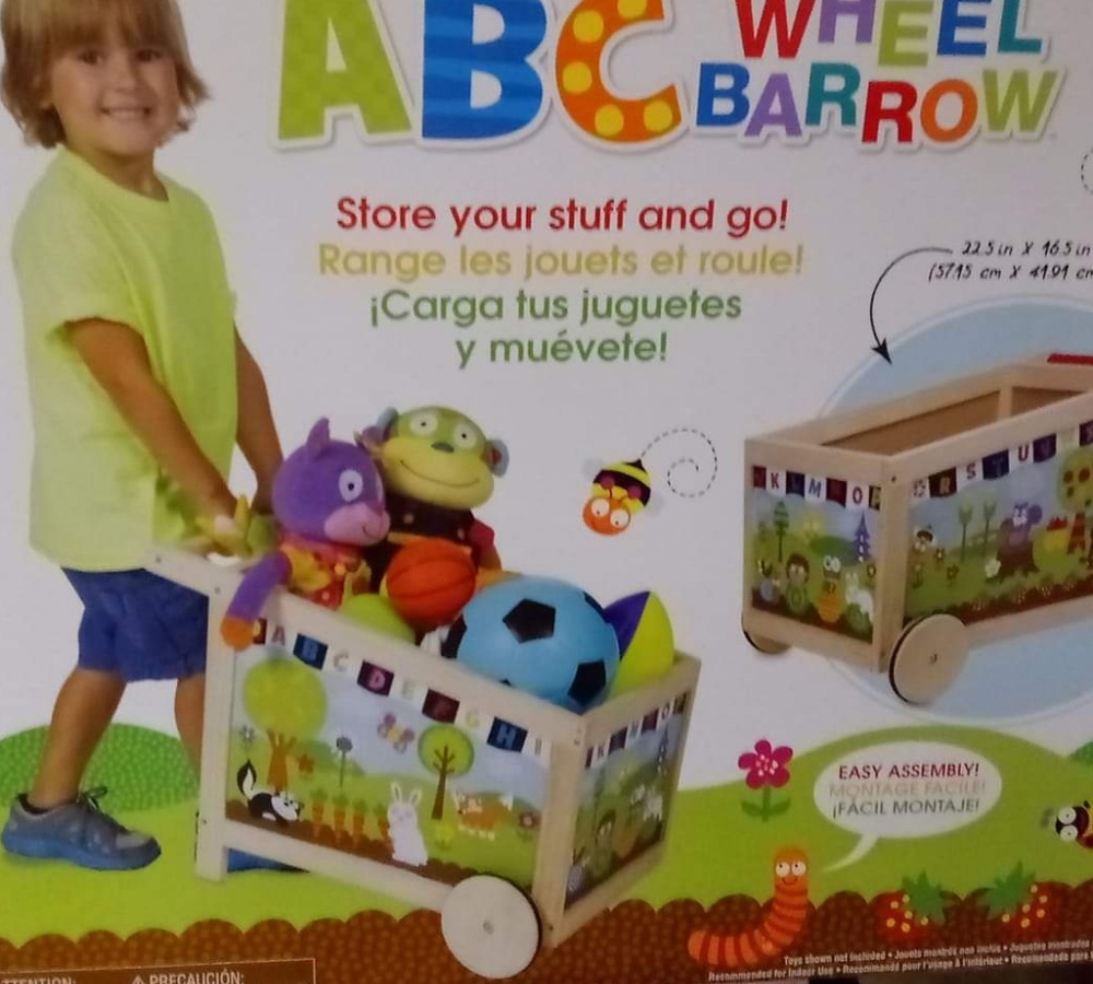 Toy